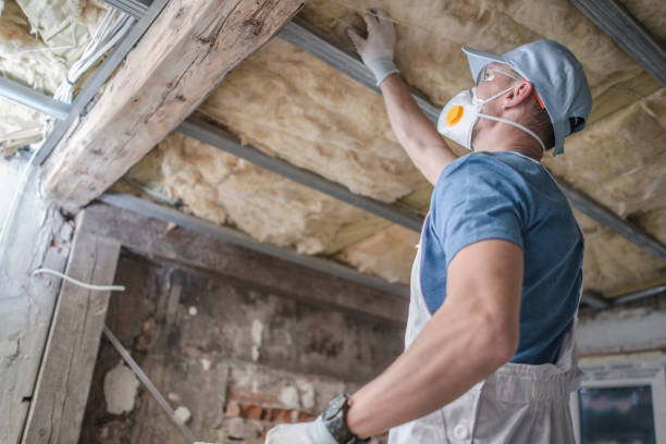 Best Residential Insulation in Milford, DE