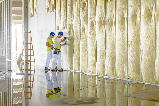Best Insulation Maintenance and Repair in Milford, DE